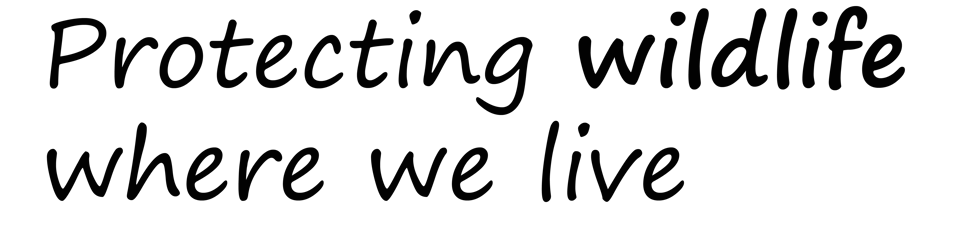 Worcestershire Wildlife Trust banner
