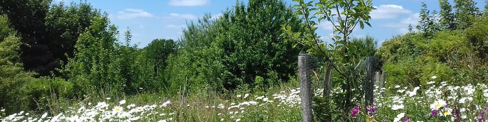 Brighton Permaculture Trust banner