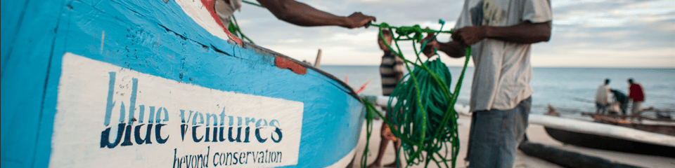 Blue Ventures banner