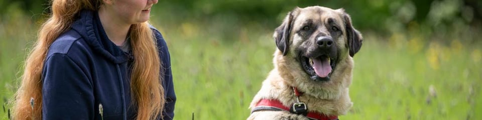 RSPCA Cambridgeshire Mid East Branch CIO banner