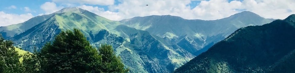 Independent Peace Associates (Indie Peace) banner