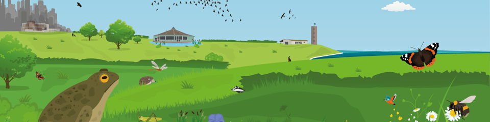 Essex Wildlife Trust banner