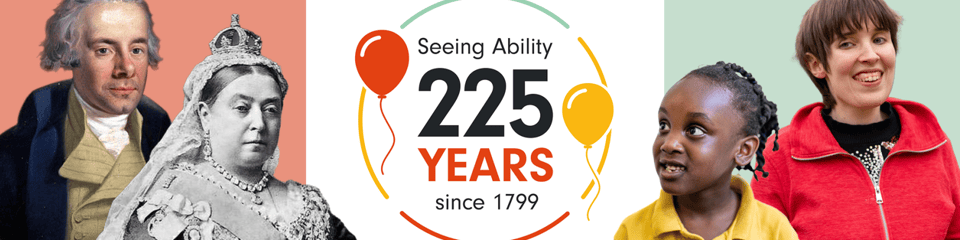 SeeAbility banner
