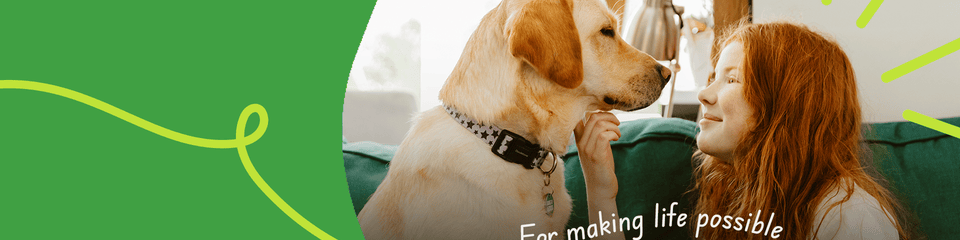 Dogs for Good banner