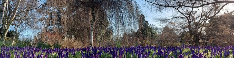 The Royal Parks banner