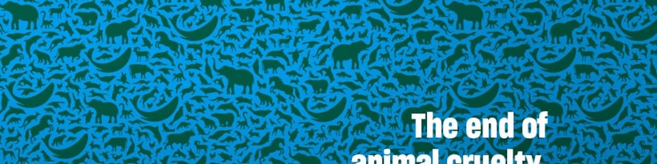 Humane World For Animals  banner