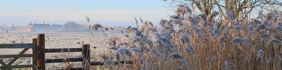 East Suffolk Trust banner