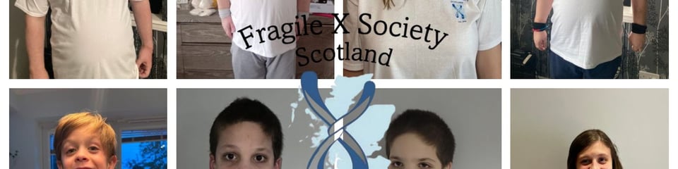 Fragile X Society banner