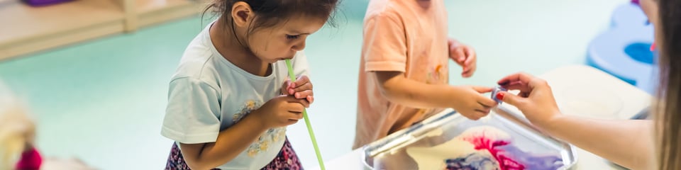 Early Education and Childcare Coalition banner