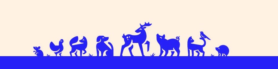 RSPCA Buckinghamshire South banner