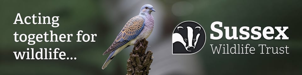 Sussex Wildlife Trust banner