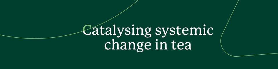 Ethical Tea Partnership banner