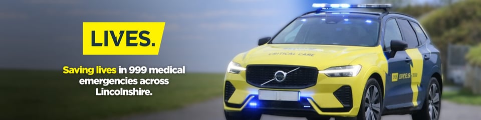 LIVES banner