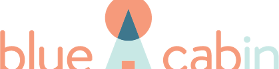 Blue Cabin CIO banner