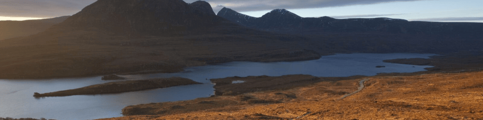 Scottish Wildlife Trust banner