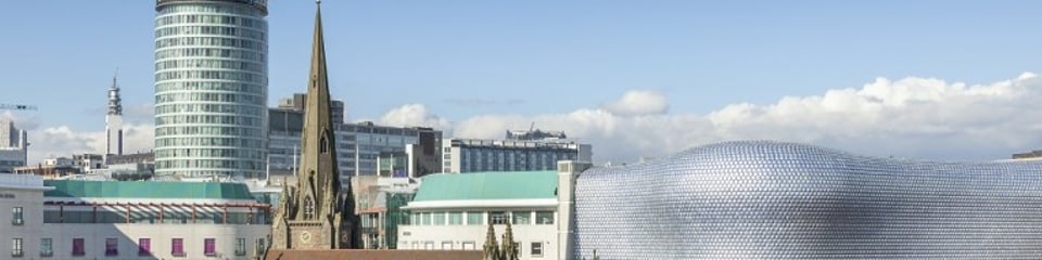 Birmingham Voluntary Service Council banner