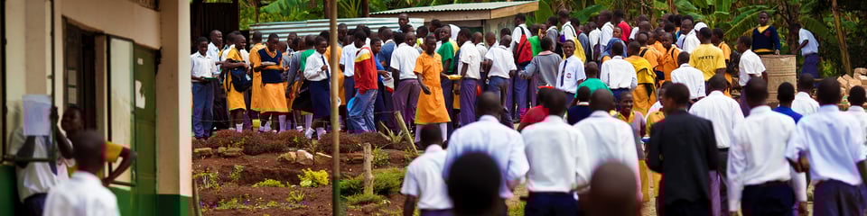 PEAS (Promoting Equality in African Schools) banner