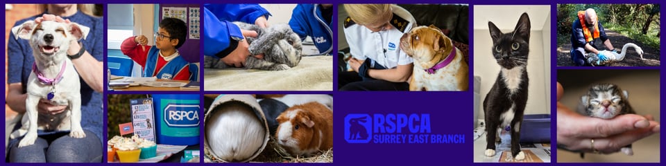 RSPCA Surrey East Branch banner