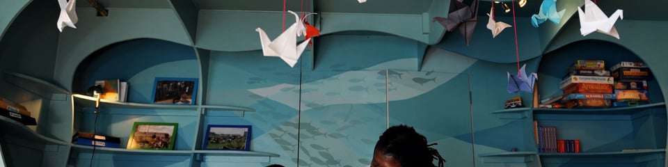 The Literacy Pirates banner
