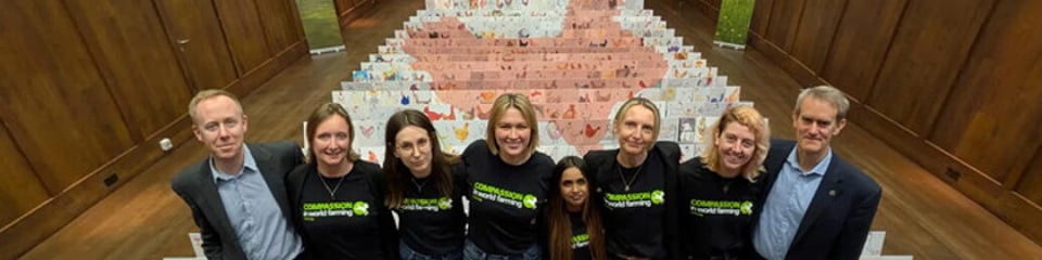 Compassion in World Farming International (CIWF) banner