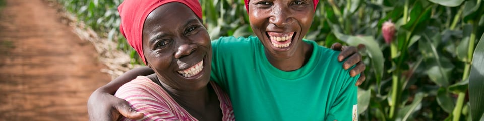 Concern Worldwide UK banner