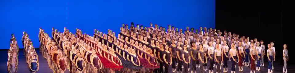 The Royal Ballet School banner