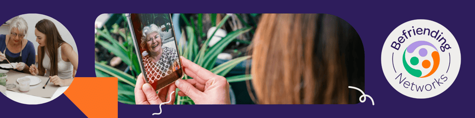 Befriending Networks banner