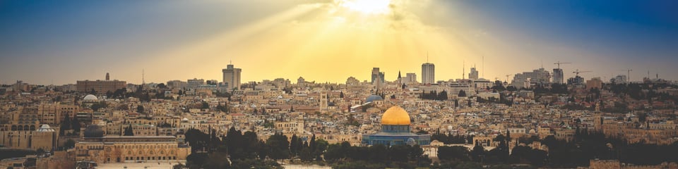 Friends of the Holy Land banner