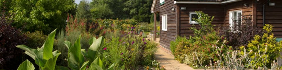 The Therapy Garden banner