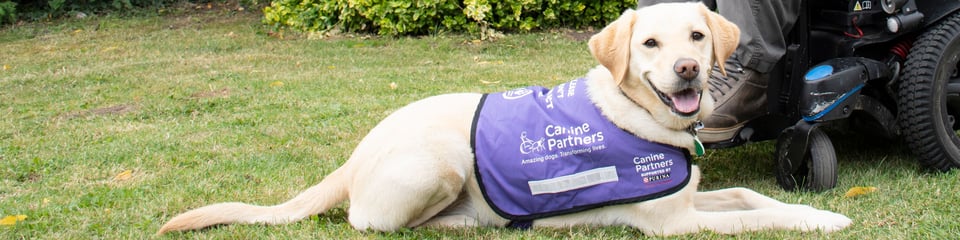 Canine Partners banner