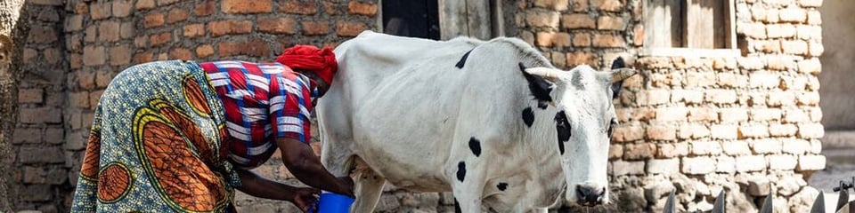 Hand in Hand International  banner