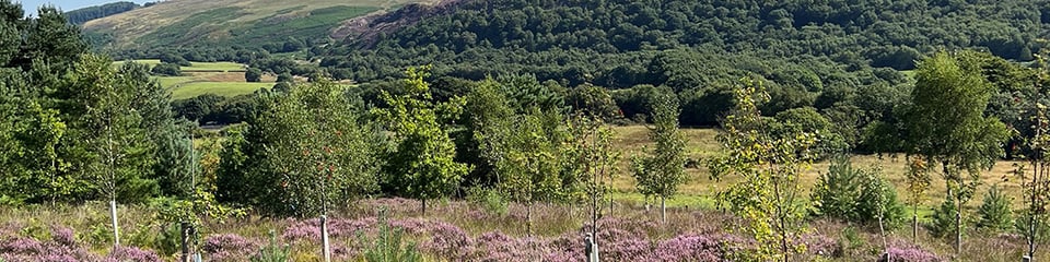 Life for a Life Memorial Forests  banner