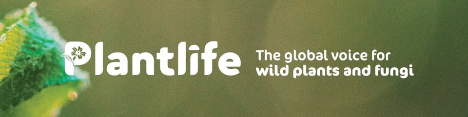 Plantlife  banner