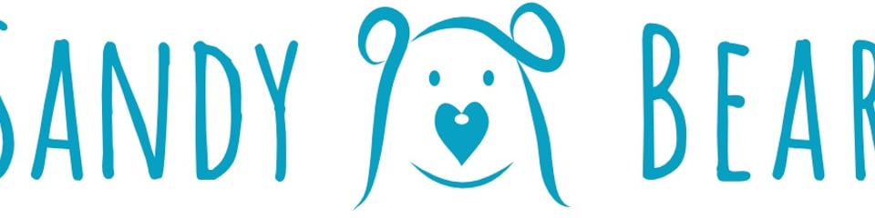 Sandy Bear children's bereavement charity banner