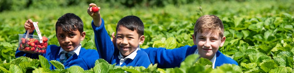 School Food Matters banner