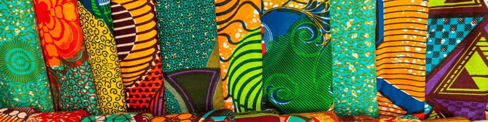 Women and Girls Network  banner