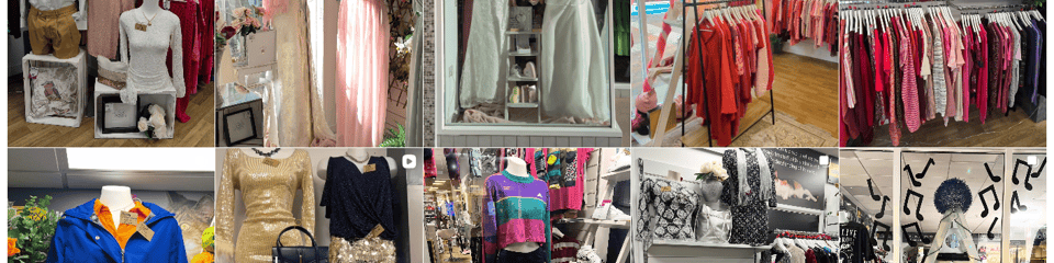 Cats Protection Poole banner