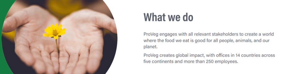 ProVeg International banner