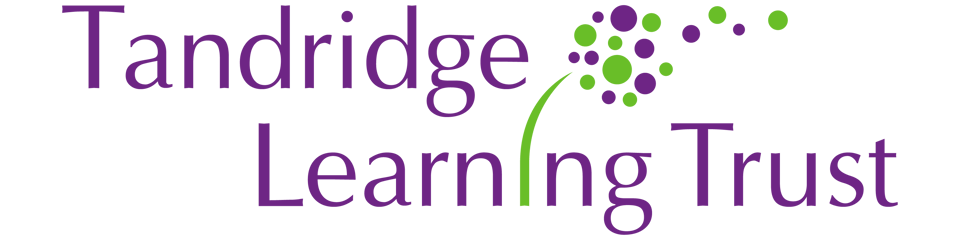 Tandridge Learning Trust banner