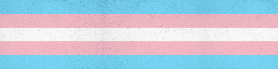 TransActual banner