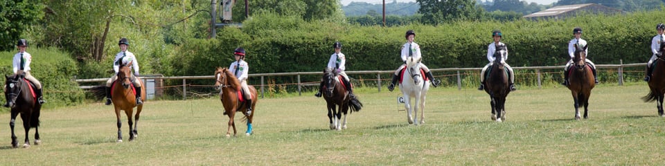 Windsor Horse Rangers banner