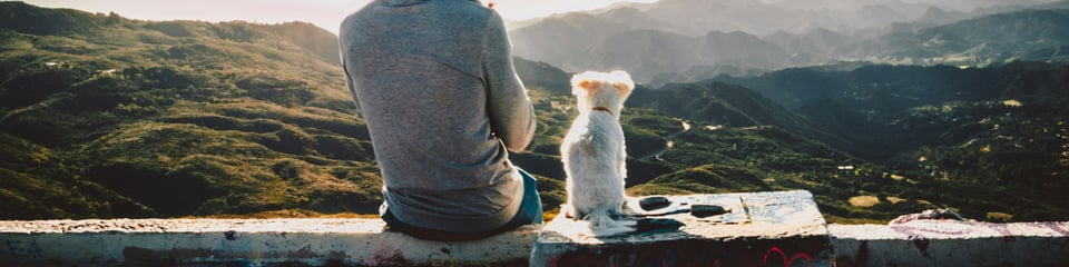 Humanimal Trust banner