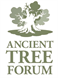 Ancient Tree Forum