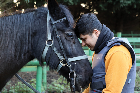 equine-assisted learning