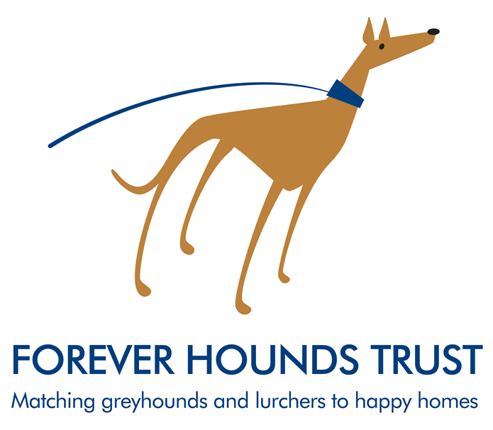 Forever sales hounds trust