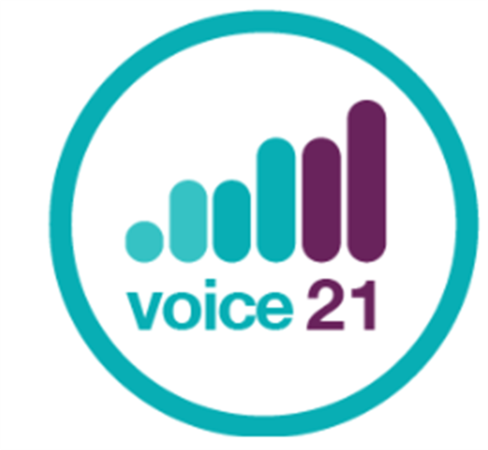 V21 Logo