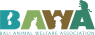 Bali Animal Welfare Association (BAWA)