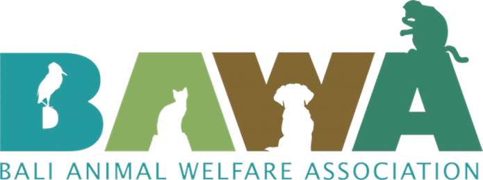 Jobs with BALI ANIMAL WELFARE ASSOCIATION (BAWA) | CharityJob