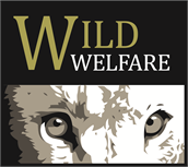 Wild Welfare